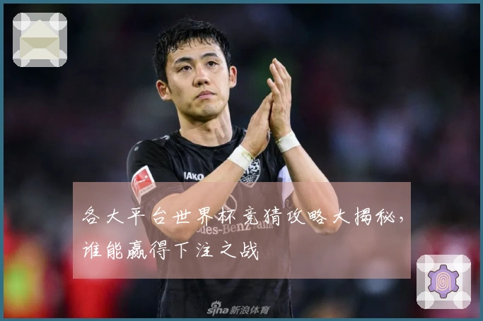 各大平台世界杯竞猜攻略大揭秘，谁能赢得下注之战