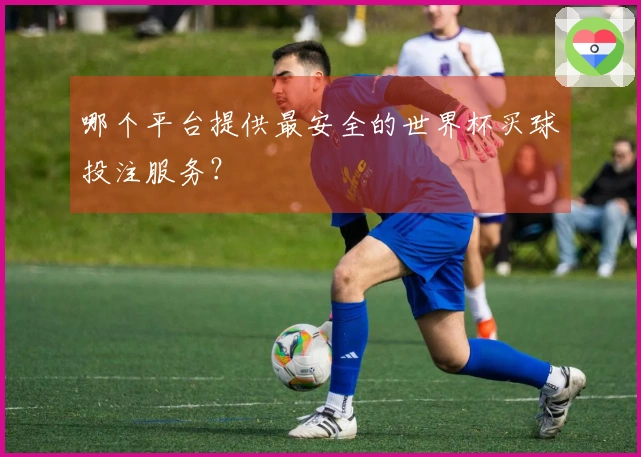 哪个平台提供最安全的世界杯买球投注服务？