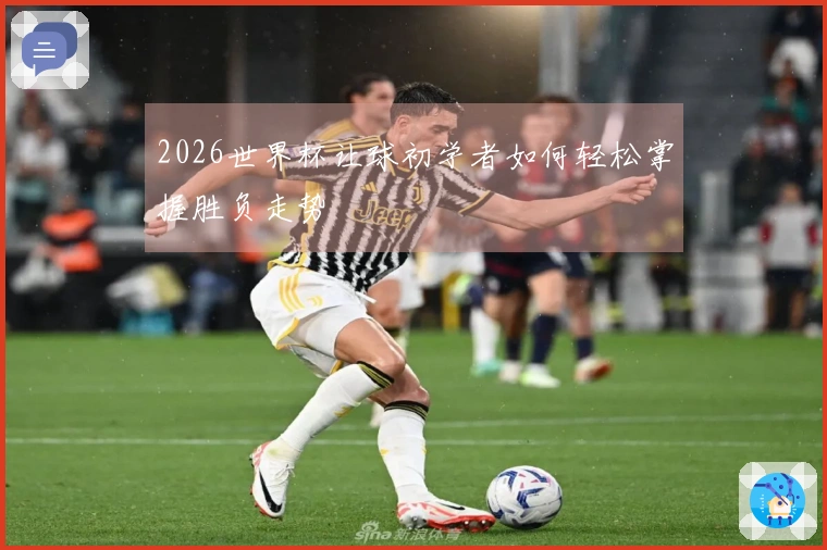 2026世界杯让球初学者如何轻松掌握胜负走势