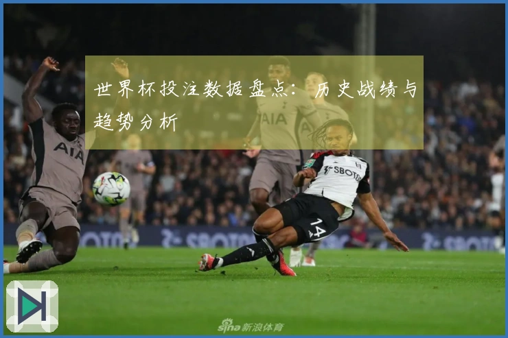 世界杯投注数据盘点：历史战绩与趋势分析