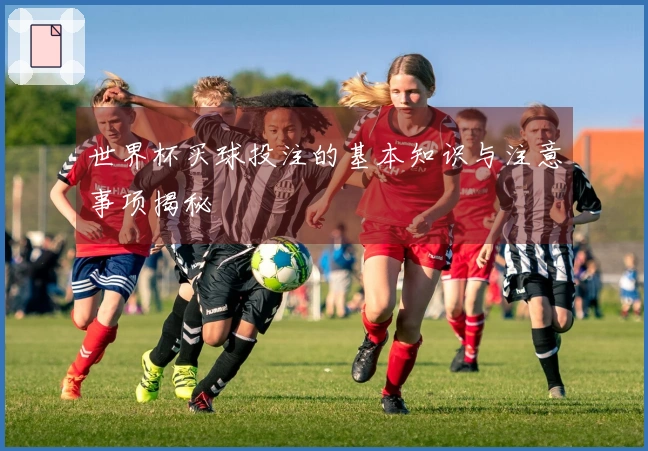 世界杯买球投注的基本知识与注意事项揭秘